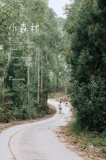 走進大自然（二）小森林