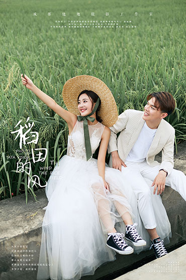 稻田的風(fēng)