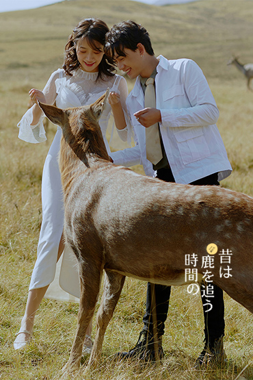 成都婚紗照|婚紗照風格|旅拍婚紗照|川西旅拍|新疆新疆|青海旅拍|大理旅拍