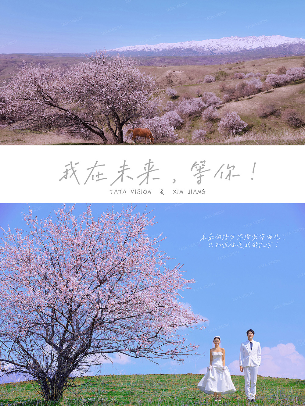 新疆婚紗照 旅拍婚紗照 新疆旅拍 新疆婚紗照攝影 婚紗照攝影 唯美婚紗照 婚紗照旅拍推薦