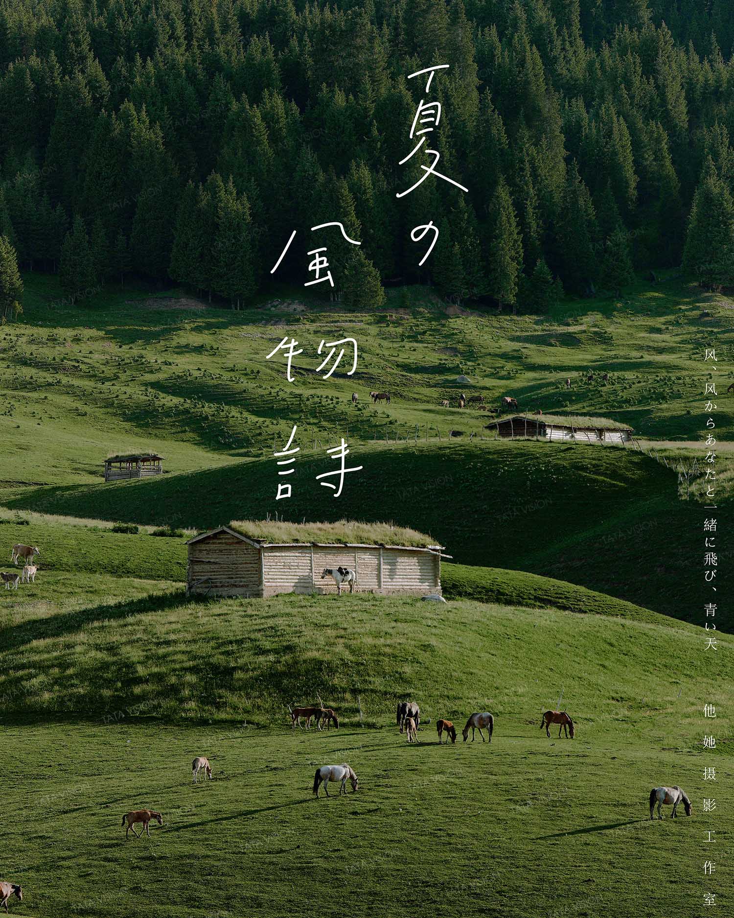 夏的風物語
